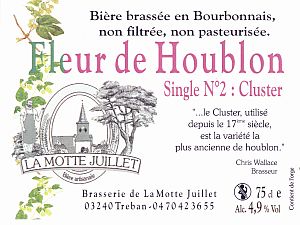 FLEUR DE HOUBLON Nr2 CLUSTER